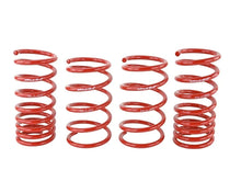 Load image into Gallery viewer, Skunk2 2013 FR-S/BRZ/FT86 Lowering Springs (Set of 4) - Back View