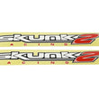Load image into Gallery viewer, Skunk2 24in. Decal (Set of 2) - Side View