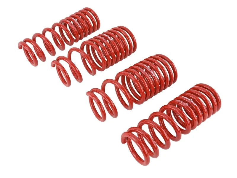 Skunk2 88-91 Honda Civic/CRX Lowering Springs (2.50in - 2.25in.) (Set of 4) - Side View