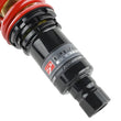 Load image into Gallery viewer, Skunk2 88-91 Honda Civic/CRX Pro-ST Coilovers (Front 10 kg/mm - Rear 8 kg/mm) - Back View