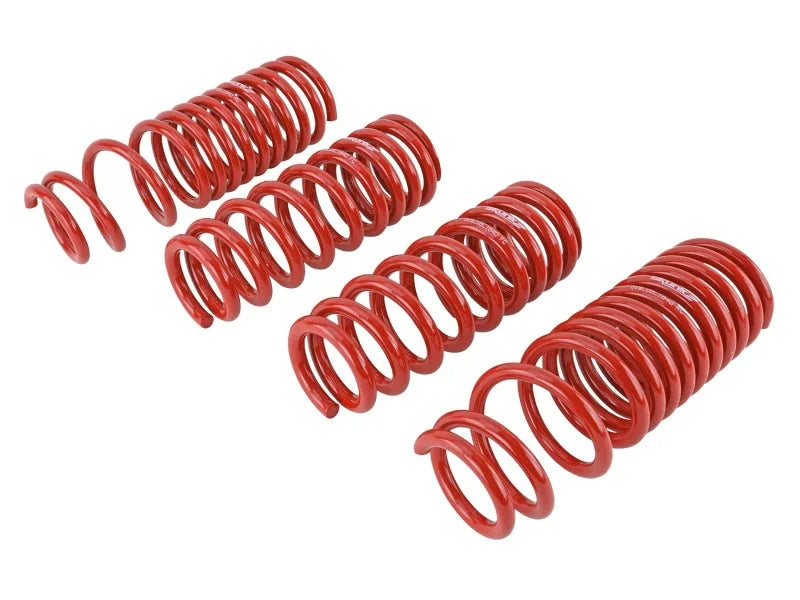 Skunk2 90-93 Acura Integra Lowering Springs (2.50in - 2.25in.) (Set of 4) - Side View