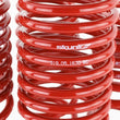 Load image into Gallery viewer, Skunk2 90-97 Honda Accord (All Models) Lowering Springs (2.00in. - 1.80in.) (Set of 4) - Additional View 5