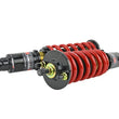Load image into Gallery viewer, Skunk2 92-95 Honda Civic / 94-01 Acura Integra Pro-ST Coilovers (Front 10 kg/mm - Rear 10 kg/mm) - Additional View 5