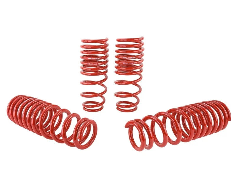 Skunk2 92-95 Honda Civic/Del Sol Lowering Springs (2.50in - 2.25in.) (Set of 4) - Additional View 5
