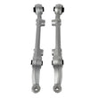 Load image into Gallery viewer, Skunk2 94-01 Acura Integra Front Lower Control Arm - Hard Rubber Bushing - Side View