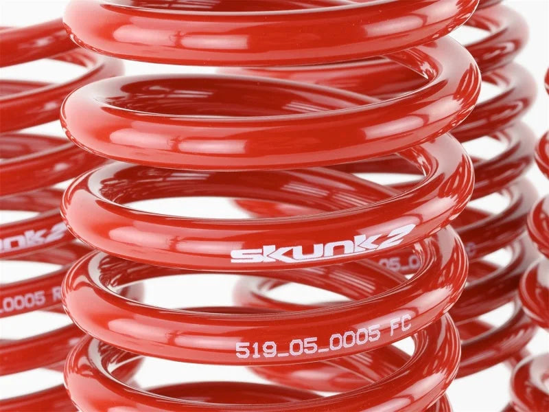 Skunk2 94-01 Acura Integra Lowering Springs (2.50in - 2.25in.) (Set of 4) - Back View