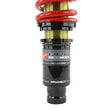Load image into Gallery viewer, Skunk2 96-00 Honda Civic Pro-ST Coilovers (Front 10 kg/mm - Rear 10 kg/mm) - Side View