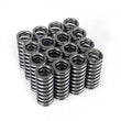 Load image into Gallery viewer, Skunk2 Alpha Series Honda D Series VTEC Valve Spring Set - Main Product View