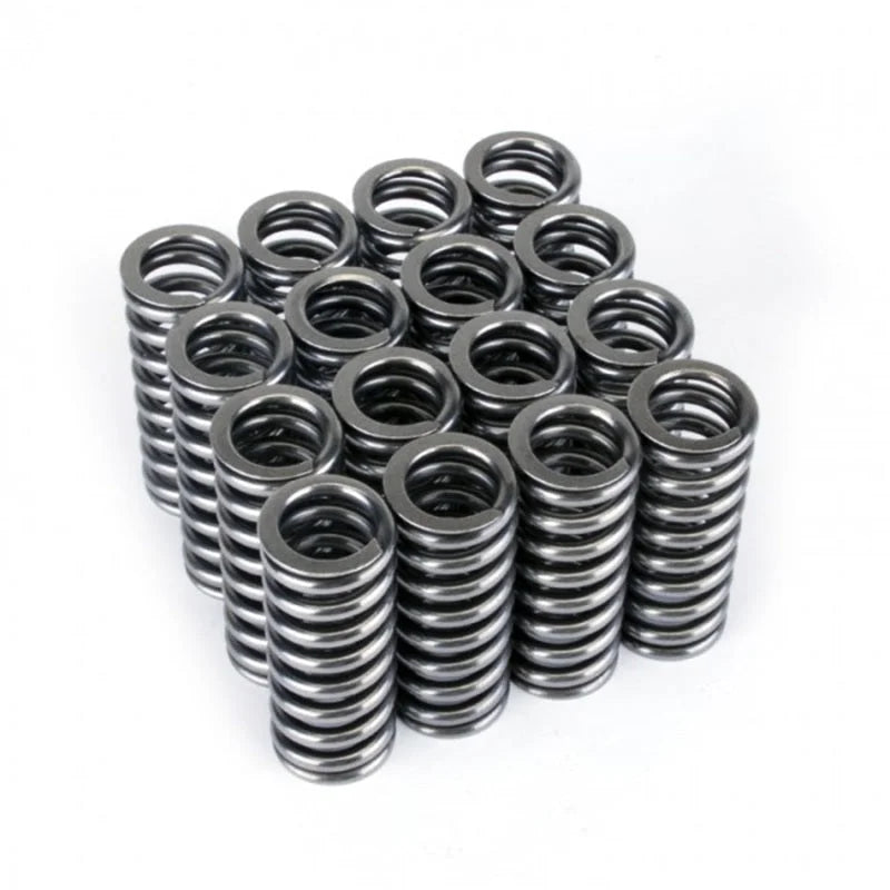 Skunk2 Alpha Series Honda D Series VTEC Valve Spring Set - Main Product View