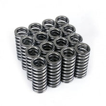 Load image into Gallery viewer, Skunk2 Alpha Series Honda D Series VTEC Valve Spring Set - Main Product View