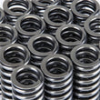 Load image into Gallery viewer, Skunk2 Alpha Series Honda D Series VTEC Valve Spring Set - Side View
