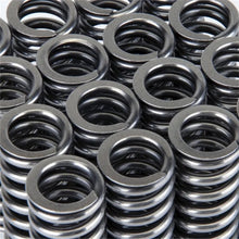Load image into Gallery viewer, Skunk2 Alpha Series Honda D Series VTEC Valve Spring Set - Side View
