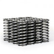 Load image into Gallery viewer, Skunk2 Alpha Series Honda D Series VTEC Valve Spring Set - Back View