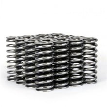 Load image into Gallery viewer, Skunk2 Alpha Series Honda D Series VTEC Valve Spring Set - Back View