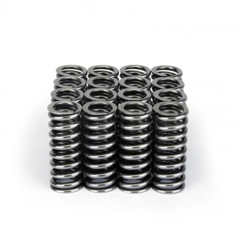 Skunk2 Alpha Series Honda D Series VTEC Valve Spring Set - Installation View