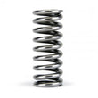 Load image into Gallery viewer, Skunk2 Alpha Series Honda D Series VTEC Valve Spring Set - Additional View 5