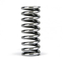 Load image into Gallery viewer, Skunk2 Alpha Series Honda D Series VTEC Valve Spring Set - Additional View 5