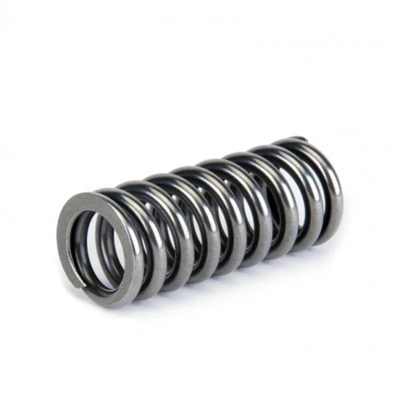 Skunk2 Alpha Series Honda D Series VTEC Valve Spring Set - Additional View 6