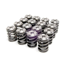 Load image into Gallery viewer, Skunk2 Alpha Series Honda/Acura B Series Valve Spring and Titanium Retainer Kit - Main Product View