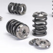 Load image into Gallery viewer, Skunk2 Alpha Series Honda/Acura B Series Valve Spring and Titanium Retainer Kit - Additional View 5