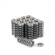 Load image into Gallery viewer, Skunk2 Alpha Series Honda/Acura D Series Valve Spring and Titanium Retainer Kit - Main Product View