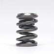 Load image into Gallery viewer, Skunk2 Alpha Series Honda/Acura K Series Valve Spring and Titanium Retainer Kit - Side View