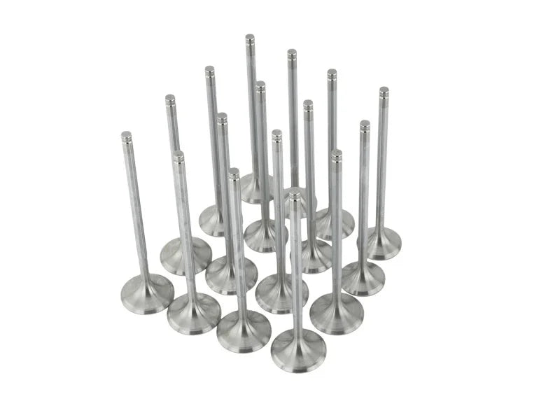 Skunk2 Alpha Series Honda/Acura Stock Size D Series Valve Set (Standard Compression) - Installation View