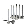 Load image into Gallery viewer, Skunk2 Honda K20C1 Alpha Series Intake &amp; Exhaust Valve Set (Standard Compression) - Main Product View