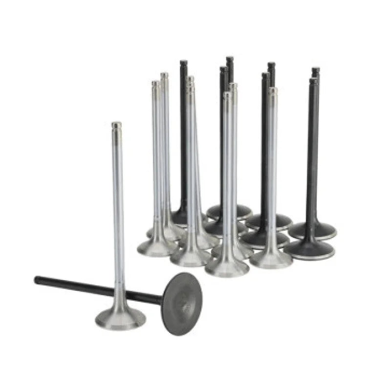 Skunk2 Honda K20C1 Alpha Series Intake & Exhaust Valve Set (Standard Compression) - Main Product View
