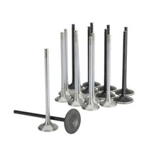 Load image into Gallery viewer, Skunk2 Honda K20C1 Alpha Series Intake &amp; Exhaust Valve Set (Standard Compression) - Main Product View