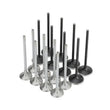 Load image into Gallery viewer, Skunk2 Honda K20C1 Alpha Series Intake &amp; Exhaust Valve Set (Standard Compression) - Side View