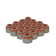 Load image into Gallery viewer, Skunk2 Honda/Acura (B/D/F/K Series) Viton Valve Stem Seal Kit - Installation View