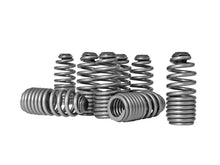 Load image into Gallery viewer, Skunk2 Honda/Acura VTEC B Series Spring Type Lost Motion Assembly Kit - Additional View 5