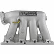 Load image into Gallery viewer, Skunk2 Pro Series 02-06 Honda/Acura K20A2/K20A3 Intake Manifold (Race Only) - Side View