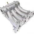 Load image into Gallery viewer, Skunk2 Pro Series 88-00 Honda D15/D16 SOHC Intake Manifold (Race Only) - Main Product View