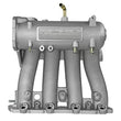 Load image into Gallery viewer, Skunk2 Pro Series 88-00 Honda D15/D16 SOHC Intake Manifold (Race Only) - Back View