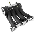 Load image into Gallery viewer, Skunk2 Pro Series 88-00 Honda D15/D16 SOHC Intake Manifold (Race Only) (Black Series) - Back View