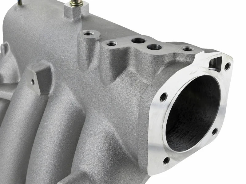 Skunk2 Pro Series 88-01 Honda/Acura B16A/B/B17A/B18C Intake Manifold (CARB Exempt) - Back View
