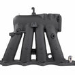 Load image into Gallery viewer, Skunk2 Pro Series 94-01 Honda/Acura B18C1 DOHC Intake Manifold (Black Series) - Back View