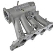 Load image into Gallery viewer, Skunk2 Pro Series 94-01 Honda/Acura B18C1 DOHC Intake Manifold (CARB Exempt) - Side View