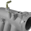 Load image into Gallery viewer, Skunk2 Pro Series 94-01 Honda/Acura B18C1 DOHC Intake Manifold (CARB Exempt) - Back View