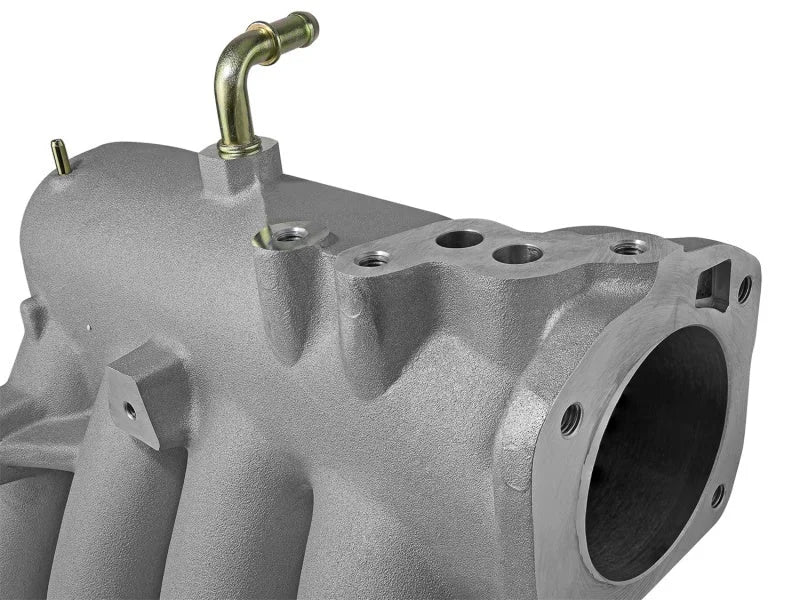 Skunk2 Pro Series 94-01 Honda/Acura B18C1 DOHC Intake Manifold (CARB Exempt) - Back View