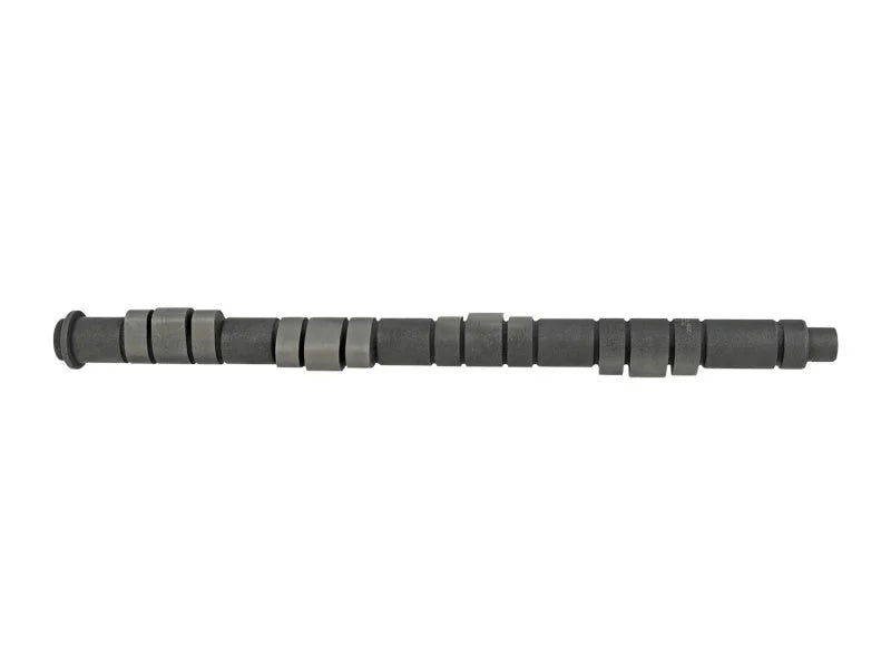 Skunk2 Pro Series Honda H22A/F20B DOHC VTEC Stage 2+ Cam Shafts - Back View