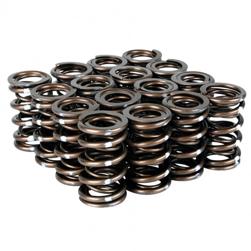 Skunk2 Pro Series Honda/Acura B-Series VTEC XP Valve Spring Set (Dual Springs) - Main Product View