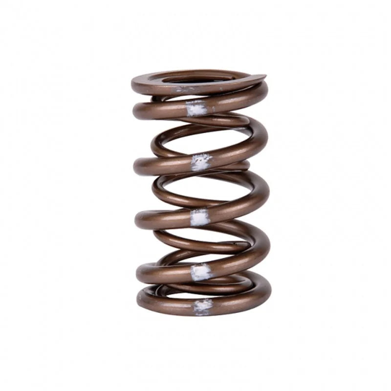 Skunk2 Pro Series Honda/Acura B-Series VTEC XP Valve Spring Set (Dual Springs) - Side View