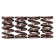Load image into Gallery viewer, Skunk2 Pro Series Honda/Acura B-Series VTEC XP Valve Spring Set (Dual Springs) - Detail View