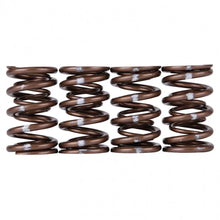 Load image into Gallery viewer, Skunk2 Pro Series Honda/Acura B-Series VTEC XP Valve Spring Set (Dual Springs) - Detail View