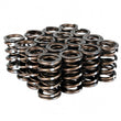Load image into Gallery viewer, Skunk2 Pro Series Honda/Acura K-Series i-VTEC XP Valve Spring Set (Dual Springs) - Main Product View