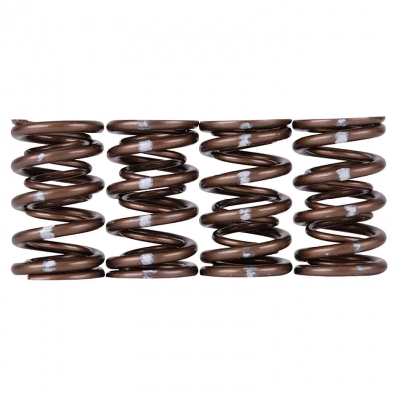 Skunk2 Pro Series Honda/Acura K-Series i-VTEC XP Valve Spring Set (Dual Springs) - Detail View