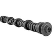 Load image into Gallery viewer, Skunk2 Tuner Series 06-11 Honda Civic Coupe/Sedan R18 Stage 2 Cam Shafts - Back View